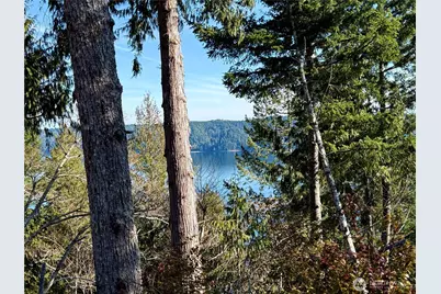 65 Devereaux Drive, Lilliwaup, WA 98555 - Photo 37