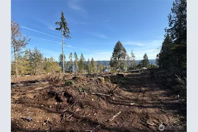 65 Devereaux Drive, Lilliwaup, WA 98555 - Photo 25