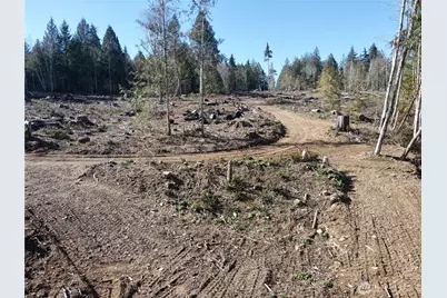 65 Devereaux Drive, Lilliwaup, WA 98555 - Photo 27