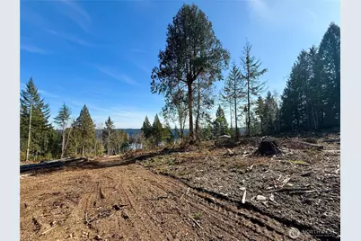 65 Devereaux Drive, Lilliwaup, WA 98555 - Photo 29