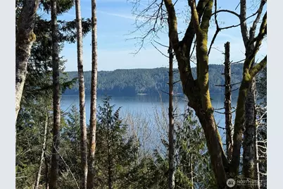 65 Devereaux Drive, Lilliwaup, WA 98555 - Photo 33