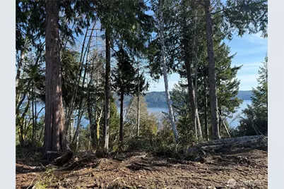 67 Devereaux Drive, Lilliwaup, WA 98555 - Photo 27