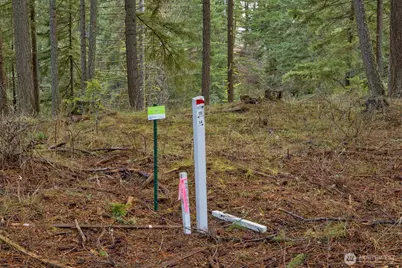 14 Farmhouse Way, Cle Elum, WA 98922 - Photo 11