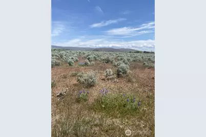 1160 Lester Road, Ellensburg, WA 98926 - Photo 3