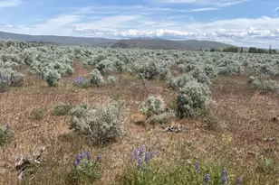 1160 Lester Rd, Ellensburg, WA 98926 - Photo 3