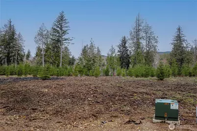 0 Lot 4 Larson Road, McCleary, WA 98557 - Photo 19