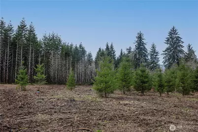 0 Lot 4 Larson Road, McCleary, WA 98557 - Photo 23