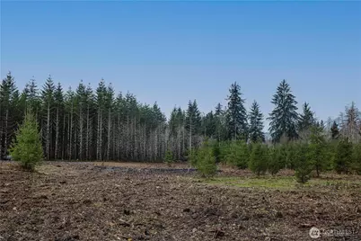0 Lot 4 Larson Road, McCleary, WA 98557 - Photo 21