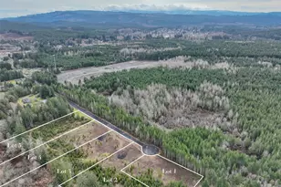 0 Larson Rd Lot 4, McCleary, WA 98557 - Photo 1