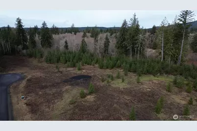 0 Lot 4 Larson Road, McCleary, WA 98557 - Photo 7