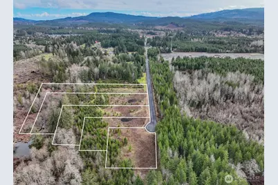 0 Lot 4 Larson Road, McCleary, WA 98557 - Photo 3