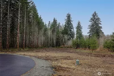 0 Lot 5 Larson Road, McCleary, WA 98557 - Photo 25