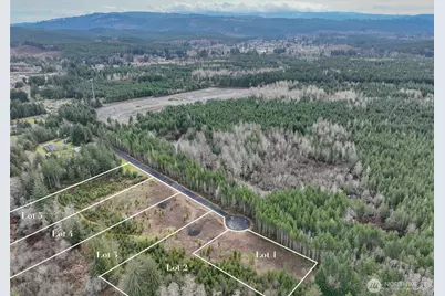 0 Lot 5 Larson Road, McCleary, WA 98557 - Photo 1