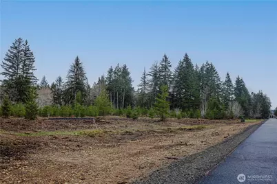 0 Lot 5 Larson Road, McCleary, WA 98557 - Photo 17