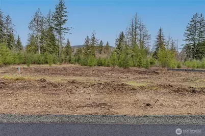 0 Lot 5 Larson Road, McCleary, WA 98557 - Photo 15