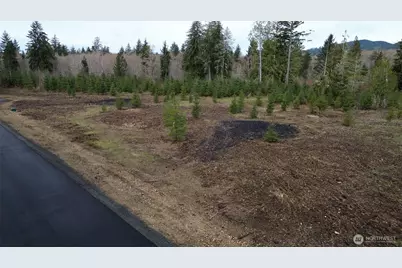 0 Lot 5 Larson Road, McCleary, WA 98557 - Photo 9