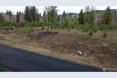 0 Lot 5 Larson Road, McCleary, WA 98557 - Photo 11