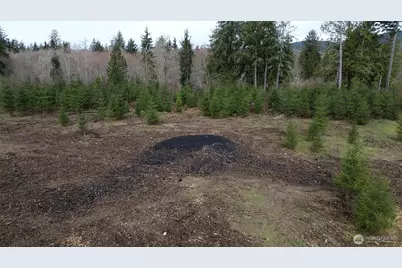 0 Lot 5 Larson Road, McCleary, WA 98557 - Photo 13