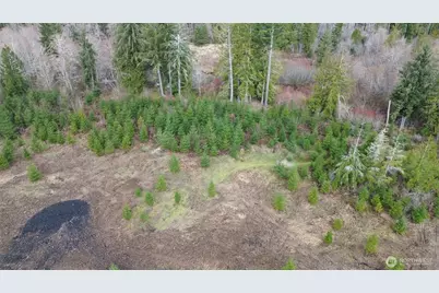 0 Lot 5 Larson Road, McCleary, WA 98557 - Photo 5