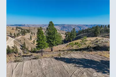 0 Evergreen Camp Rd. Parcel C, Chelan, WA 98816 - Photo 5