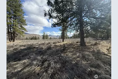 40 Tbd Rabbit House Road, Winthrop, WA 98862 - Photo 17