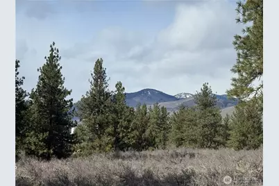 40 Tbd Rabbit House Road, Winthrop, WA 98862 - Photo 27