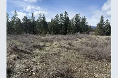 40 Tbd Rabbit House Road, Winthrop, WA 98862 - Photo 29