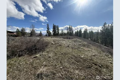 40 Tbd Rabbit House Road, Winthrop, WA 98862 - Photo 13