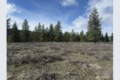 40 Tbd Rabbit House Road, Winthrop, WA 98862 - Photo 23