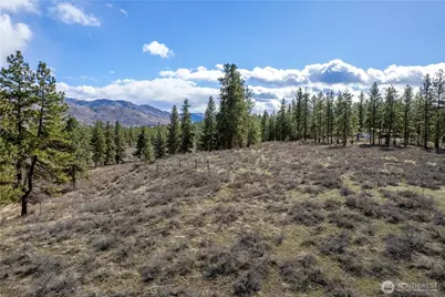 40 Tbd Rabbit House Road, Winthrop, WA 98862 - Photo 5