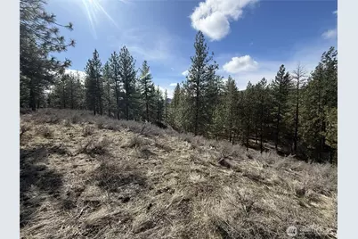 40 Tbd Rabbit House Road, Winthrop, WA 98862 - Photo 15