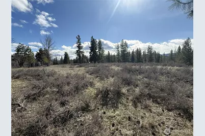 40 Tbd Rabbit House Road, Winthrop, WA 98862 - Photo 9