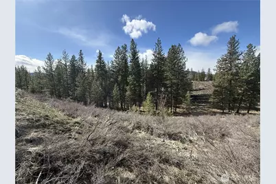 40 Tbd Rabbit House Road, Winthrop, WA 98862 - Photo 11