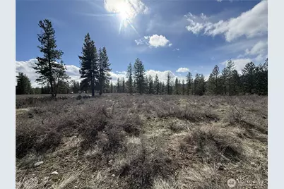 40 Tbd Rabbit House Road, Winthrop, WA 98862 - Photo 31