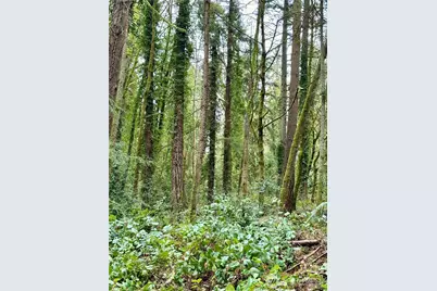 0 SW 230th Street, Vashon, WA 98070 - Photo 3