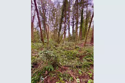 0 SW 230th Street, Vashon, WA 98070 - Photo 1