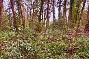 0 SW 230th St, Vashon, WA 98070 - Photo 1