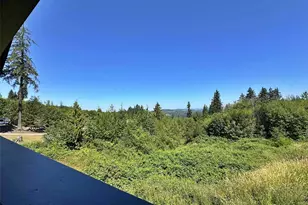 213 Tanglewood Dr, Mossyrock, WA 98564 - Photo 25