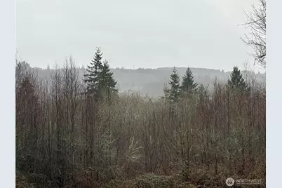 280 Ridge View Road, Onalaska, WA 98570 - Photo 1