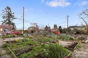 2909 S Adams St, Seattle, WA 98108 - Photo 37