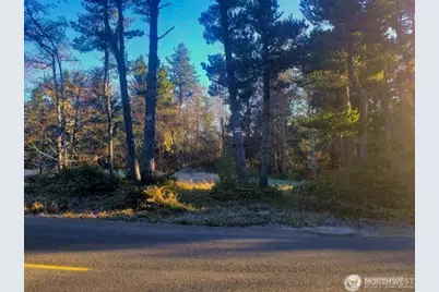 30510 O, Ocean Park, WA 98640 - Photo 11