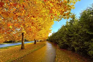 1306 Hansberry Ave NE, Orting, WA 98360 - Photo 29