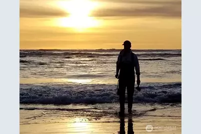 43 Dolphin Lane, Copalis Beach, WA 98535 - Photo 17