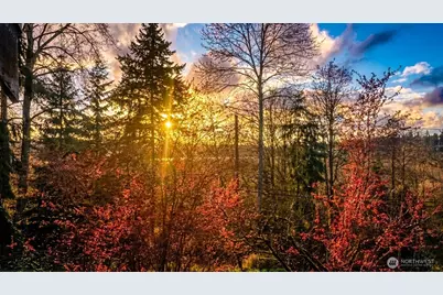 3838 Lake Washington Boulevard SE #B-5, Bellevue, WA 98006 - Photo 31