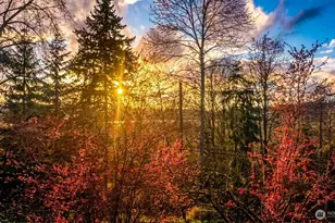 3838 Lake Washington Blvd SE, Bellevue, WA 98006 - Photo 31