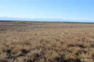 0 Schafer and Dewalt Rd, Ritzville, WA 99169 - Photo 1