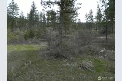 357 Swanson Mill Road, Tonasket, WA 98855 - Photo 11