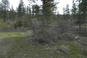 357 Swanson Mill Rd, Tonasket, WA 98855 - Photo 11