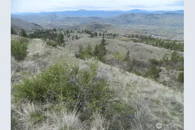 111 Tbd Six Gun Way, Tonasket, WA 98855 - Photo 13