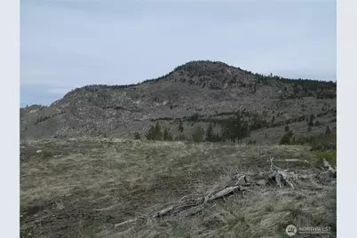 111 Tbd Six Gun Way, Tonasket, WA 98855 - Photo 9